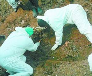 Personal de Medicina Forense del Ministerio Público realiza la excavación para sacar partes de los cuerpos.