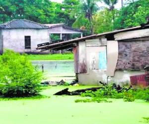 En Punta Ratón se formaron pantanos debido al sedimento y restos de plantas que arrastró el río, varias casas quedaron destruidas (Fotos: Gissela Rodríguez/EL HERALDO)