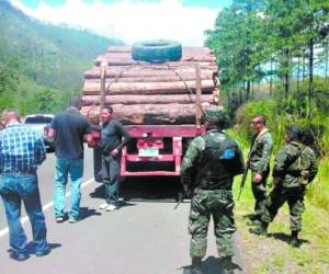 Las autoridades forestales han intensificado la vigilancia en los ejes carreteros con el apoyo del Ejército.