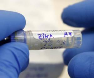 El brote de zika y su potencial vinculación con malformaciones congénitas llevó a la OMS a declarar una emergencia global.