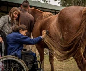 In the last 15 years equine therapy has evolved and has been put into practice with diseases such as stress, depression, phobias, addictions.