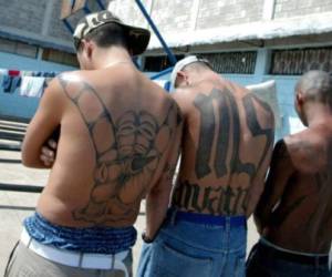 Según Trump, pandilleros de la MS-13 son expulsados por agentes migratorios estadounidenses, 'pero estos asesinos regresan de El Salvador, a través de México, como el agua. El Salvador solo toma nuestro dinero y México debe ayudar más con ese problema. Necesitamos el muro'. Foto AP