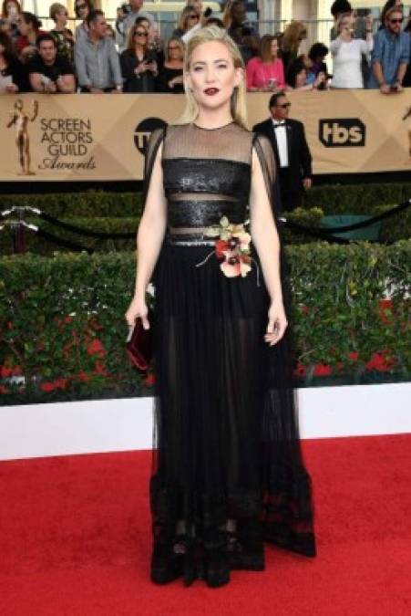 Así lucieron estas luminarias de Hollywood en la alfombra roja de los SAG Awards 2017