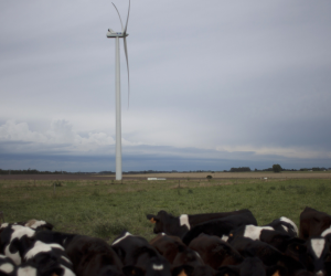 Uruguay genera casi toda su electricidad de fuentes renovables. Energía eólica en un parque cerca de Montevideo.