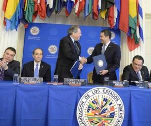La misión fue creada por la OEA el 19 de enero del 2016 por un periodo de cuatro años a petición del presidente Juan Orlando Hernández, en medio de grandes manifestaciones en protesta por el saqueo de 330 millones de dólares del Seguro Social.