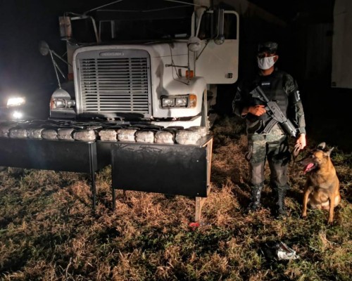 El vehículo y los paquetes con supuesta marihuna fueron decomisados por las autoridades. Foto: Cortesía