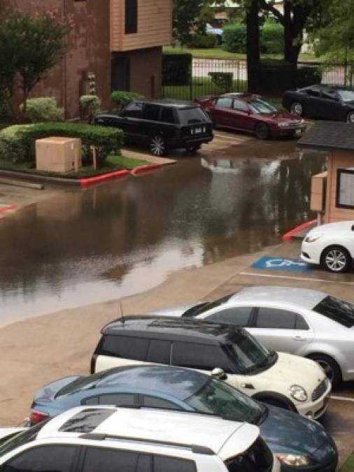 Así resistieron hondureños en Texas a la tormenta Harvey