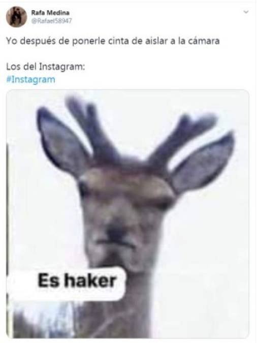 Los divertidos memes sobre el supuesto espionaje de Instagram