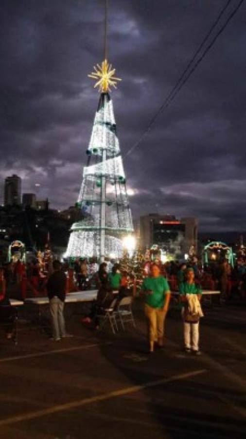 Honduras rompe récord Guinness con árbol