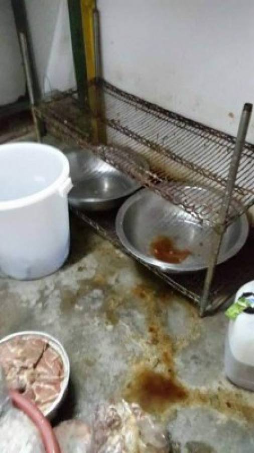 Operación Tifón III: Comida vencida y prácticas insalubres detectan en restaurantes en Tegucigalpa