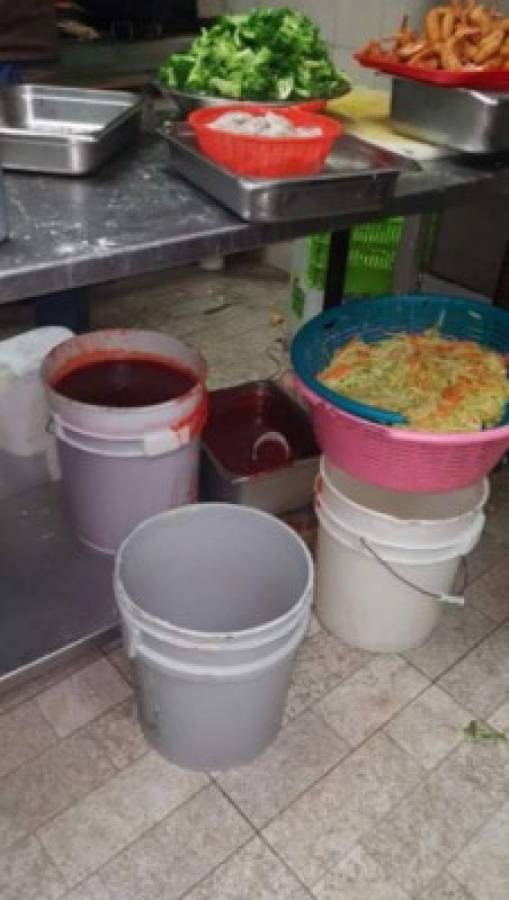 Honduras: Hasta cabeza de perro hallaron en restaurantes chinos