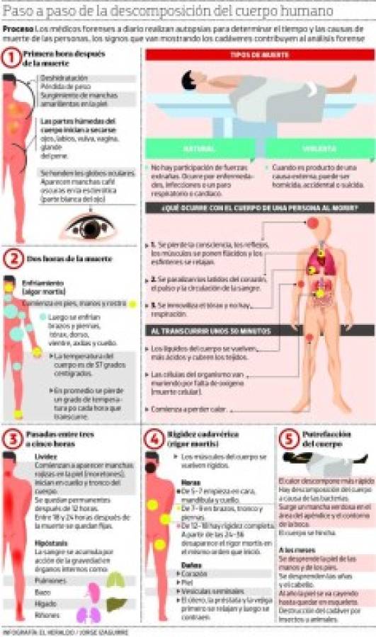 ¿Qué le pasa al cuerpo humano cuando muere?