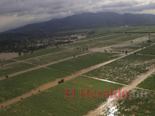 La actividad agropecuaria resultó la más afectada por las tormentas tropicales Eta y Iota. Foto: El Heraldo
