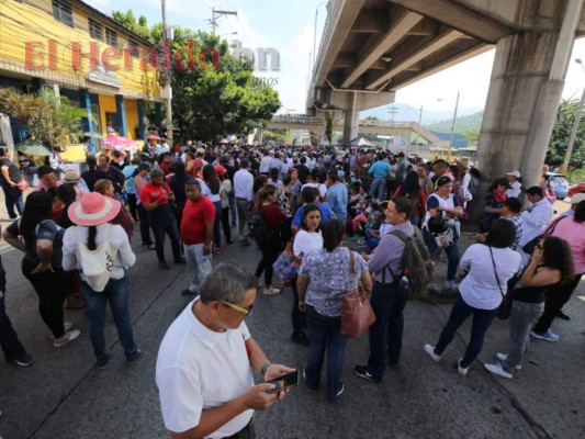 FOTOS: Las masivas protestas convocadas por médicos y maestros pese a la derogación de los PCM