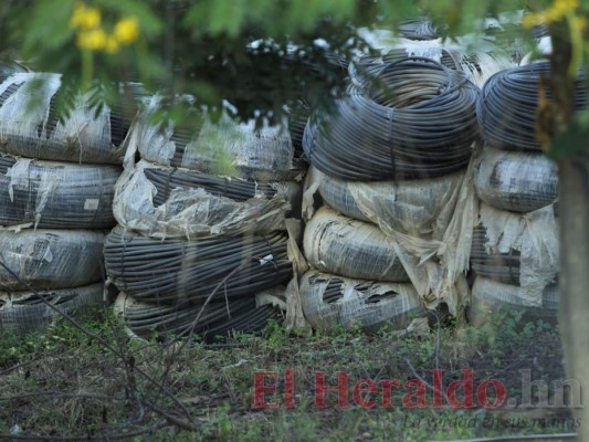 Aproximadamente 23,680 rollos de cintas de goteo están tirados al aire libre. Una gran parte está entre el monte, a otras hasta les han nacido plantas encima.