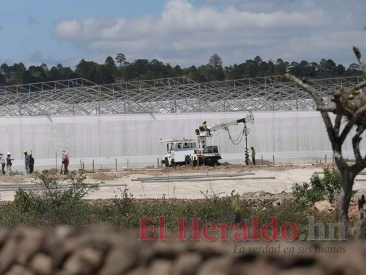 Próspera también quiere tener un distrito en La Ceiba. Foto: El Heraldo