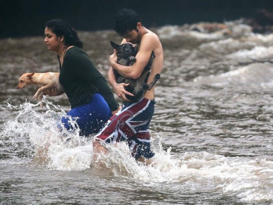 El presidente estadounidense llamó el viernes por teléfono al gobernador de Hawái, David Ige, para 'ofrecer su apoyo' a los habitantes del archipiélago, indicó un comunicado de la Casa Blanca. (Foto: AFP)