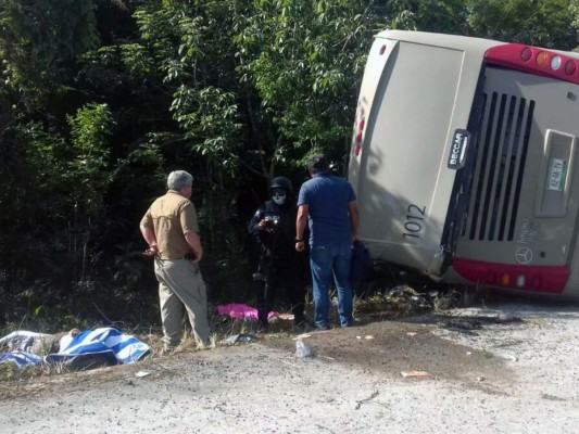 El autobús se dirigía a una zona arqueológica en Quintana Roo. Foto: AFP