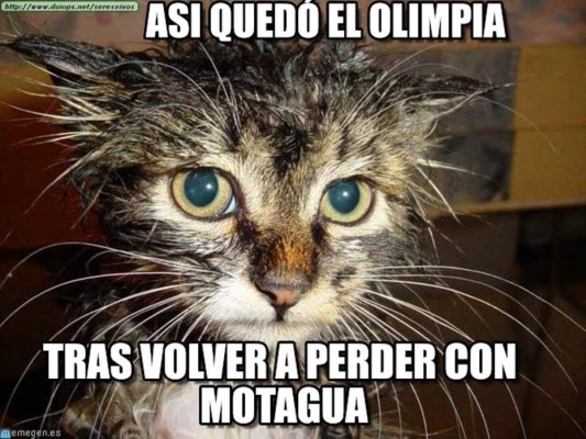 Memes de Olimpia tras la derrota que sufrió contra el Motagua en la Liga Nacional