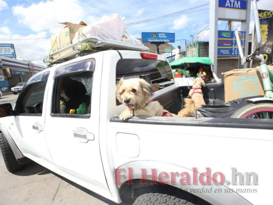 En buses, pickups y hasta camiones: Capitalinos 'escapan' de la ciudad para ir a veranear