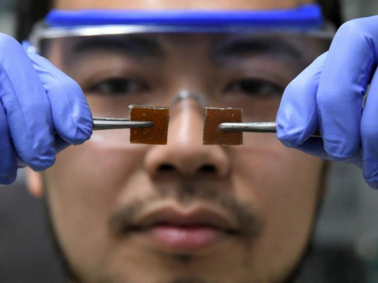 Para Yanagisawa este descubrimiento es un paso hacia el desarrollo de resinas más resistentes. (Foto: AFP)