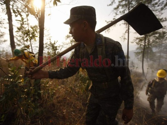 Las infernales imágenes del incendio que consume el bosque de la capital de Honduras