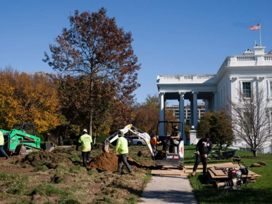 Jardineros trabajando para cambiar el pasto de la Casa Blanca, el lunes 9 de noviembre de 2020, en Washington, EE.UU.