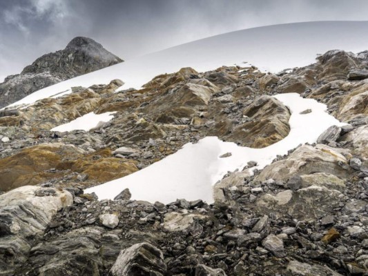 El retroceso del glaciar ha representado una 'oportunidad única de hacer un estudio que en los Andes no se había hecho, de cómo la vida va colonizando la roca cuando se retira el hielo, expresa la física que estudió este fenómeno. Foto: AFP