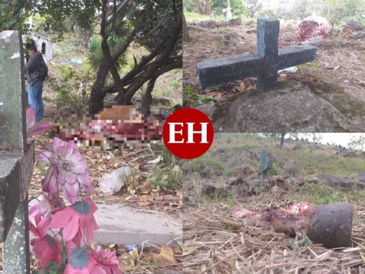 Un destazadero de yeguas fue encontrado la mañana de este martes en el cementerio Divino Paraíso de la capital de Honduras.