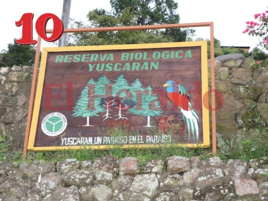 FOTOS: 10 cosas que encontrarás en Yuscarán y no sabías