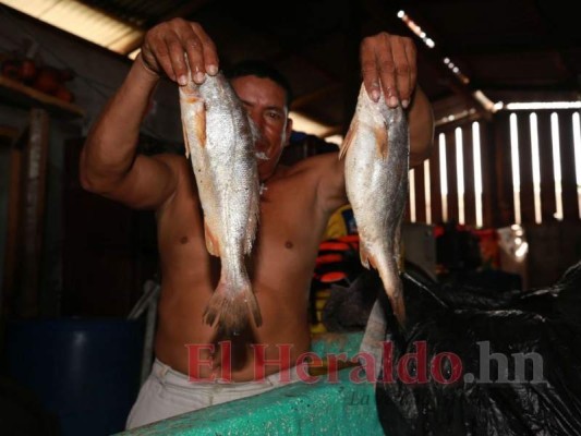 Los pescadores pensaban que el acuerdo era para cruzar a Nicaragua. Foto: David Romero/El Heraldo