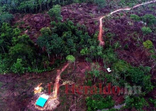 Durante la pandemia, particulares aprovecharon para abrir al menos 20 kilómetros más de carretera entre Dulce Nombre de Culmí, Olancho, y Wanpusirpi, Gracias a Dios. Foto: Jhony Magallanes/El Heraldo