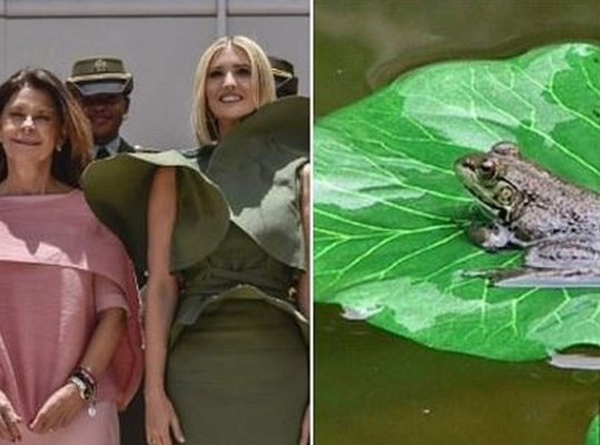 Los memes que dejó el vestido de Ivanka Trump en su gira por Colombia