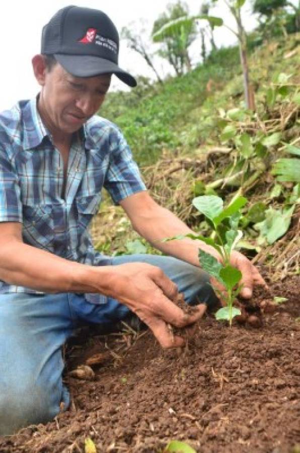 Nestlé sigue comprometida con la sostenibilidad ambiental   