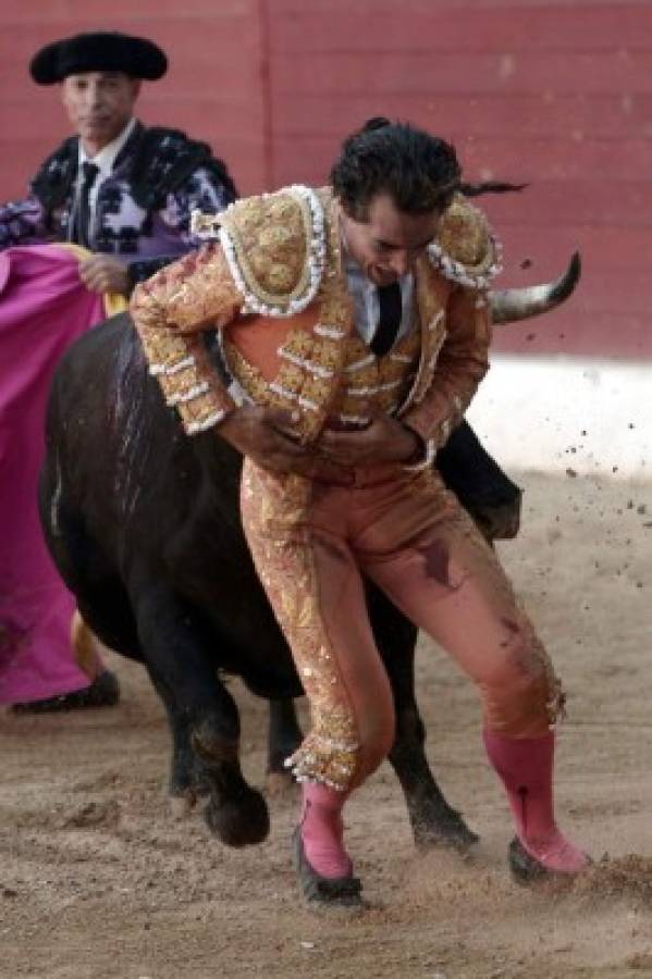 Las últimas palabras del torero Iván Fandiño antes de morir