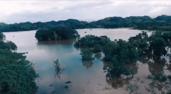 FOTOS: Un Valle de Sula anegado se prepara para más inundaciones