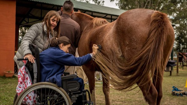 In the last 15 years equine therapy has evolved and has been put into practice with diseases such as stress, depression, phobias, addictions.