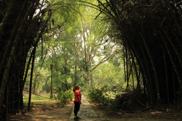 Lancetilla es la mayor reserva biológica de Centroamérica y un refugio verde para los amantes del ecoturismo y la aventura.