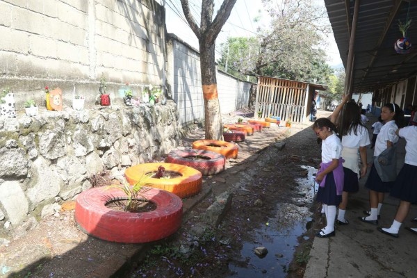 Los trabajos para recuperar espacios son notables en los centros educativos, todos los materiales son reciclados.