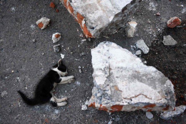 Las imágenes no vistas del terremoto de 8.2 en México
