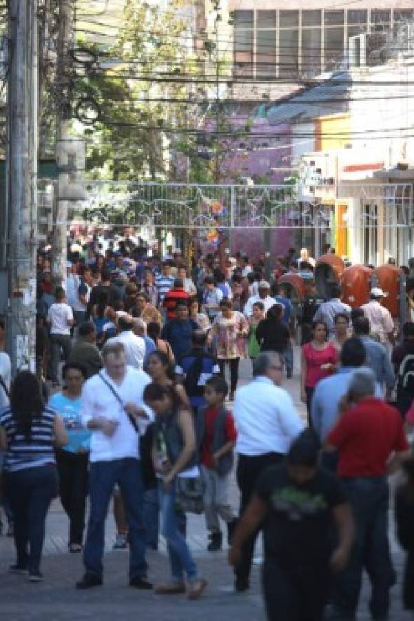 Honduras: Tasa de desempleo abierto se redujo en 1.6%