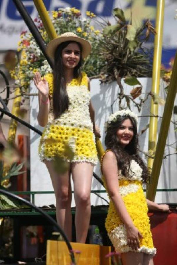 Festival de las Flores busca ser tradición