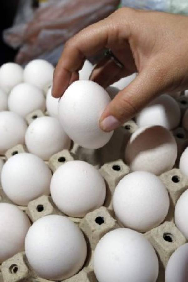 Advierten de multas por vender cartón de huevos a más de L 70