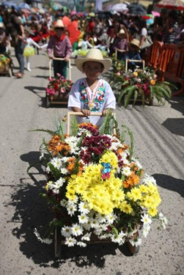 Festival de las Flores busca ser tradición