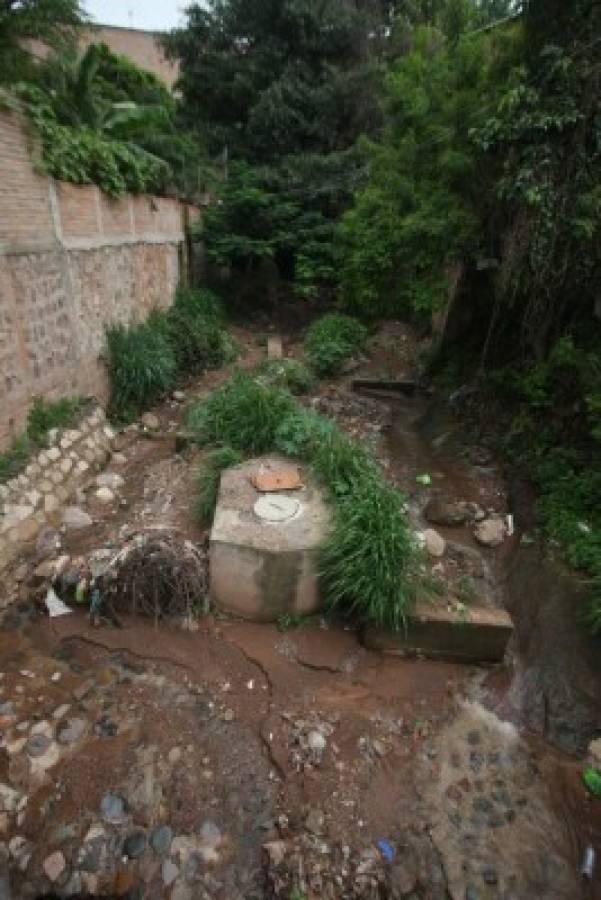 Escasez de agua desencadena alta incidencia de dengue