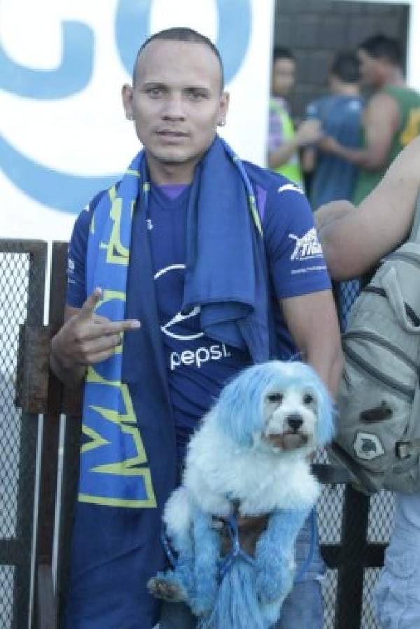 Honduras': El estadio Nacional se pintó de azul profundo...