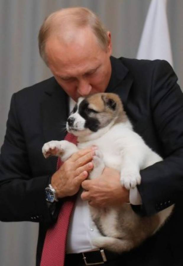 Putin, amante de los perros, recibe cachorro como regalo