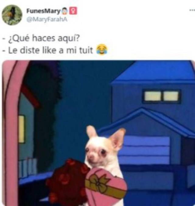 Día del Amor y la Amistad: Divertidos memes para parejas, solteros y amantes