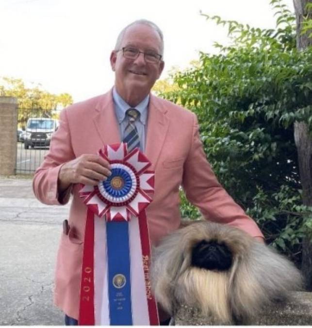 Wasabi, el pequinés que ganó el concurso canino Westminster al 'Mejor show”