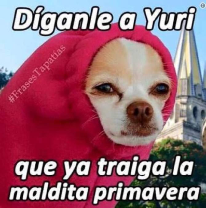 Frío intenso despierta el humor de los hondureños con divertidos memes